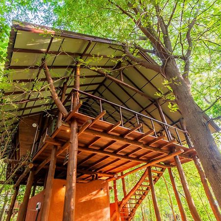 Kaala Kalaththewa Luxury Eco Resort Anuradhapura Eksteriør billede