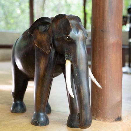 Kaala Kalaththewa Luxury Eco Resort Anuradhapura Eksteriør billede