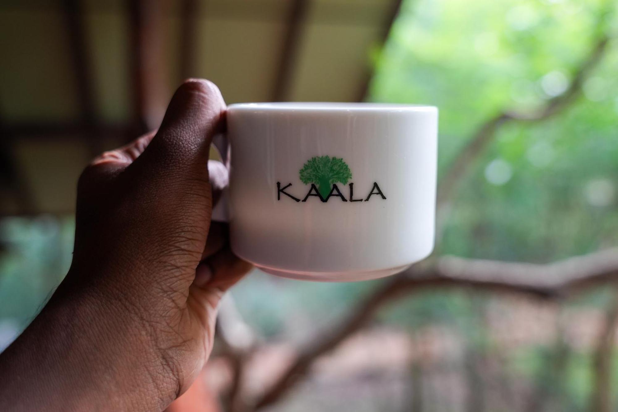 Kaala Kalaththewa Luxury Eco Resort Anuradhapura Eksteriør billede