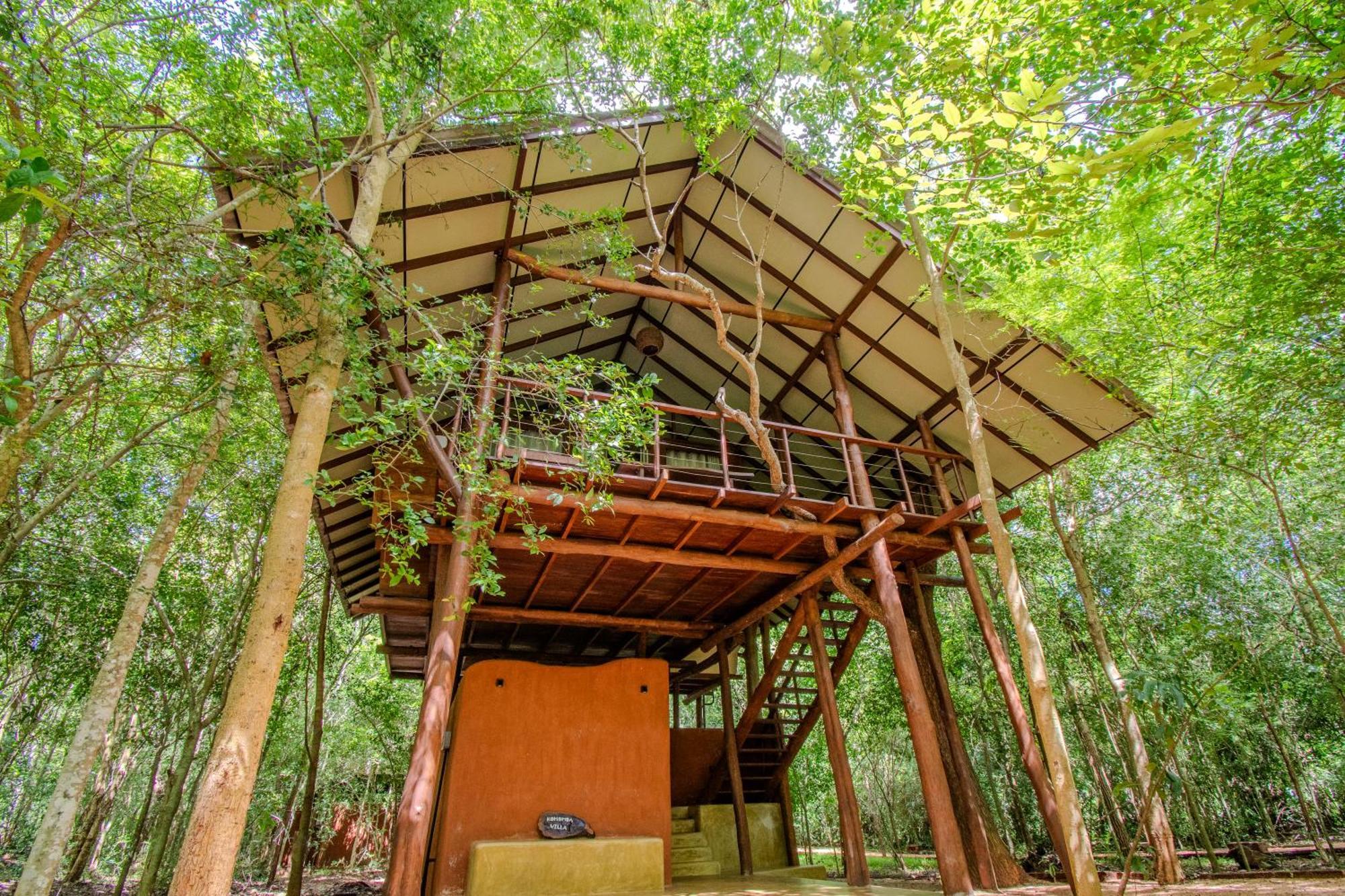 Kaala Kalaththewa Luxury Eco Resort Anuradhapura Eksteriør billede