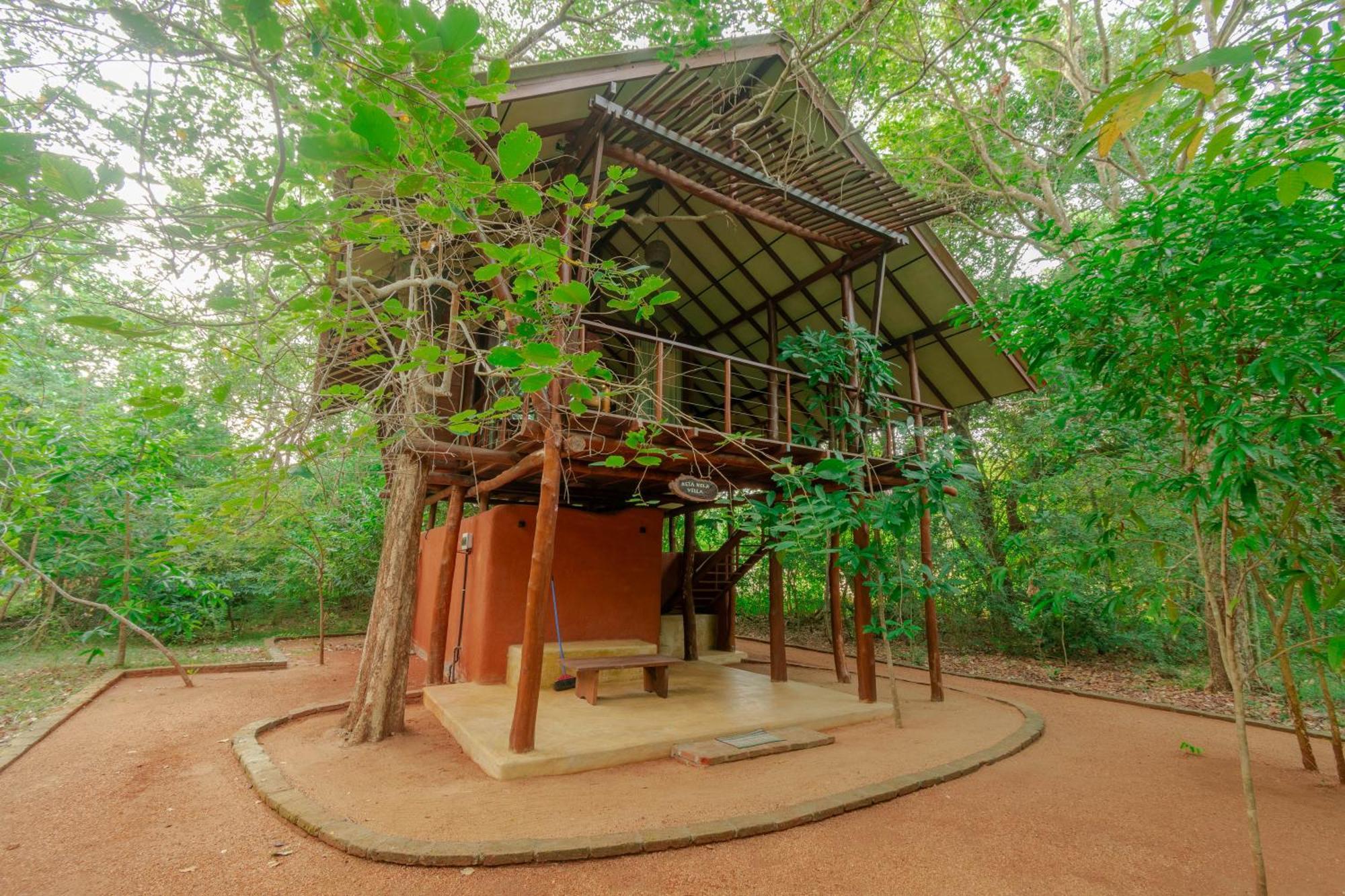 Kaala Kalaththewa Luxury Eco Resort Anuradhapura Eksteriør billede