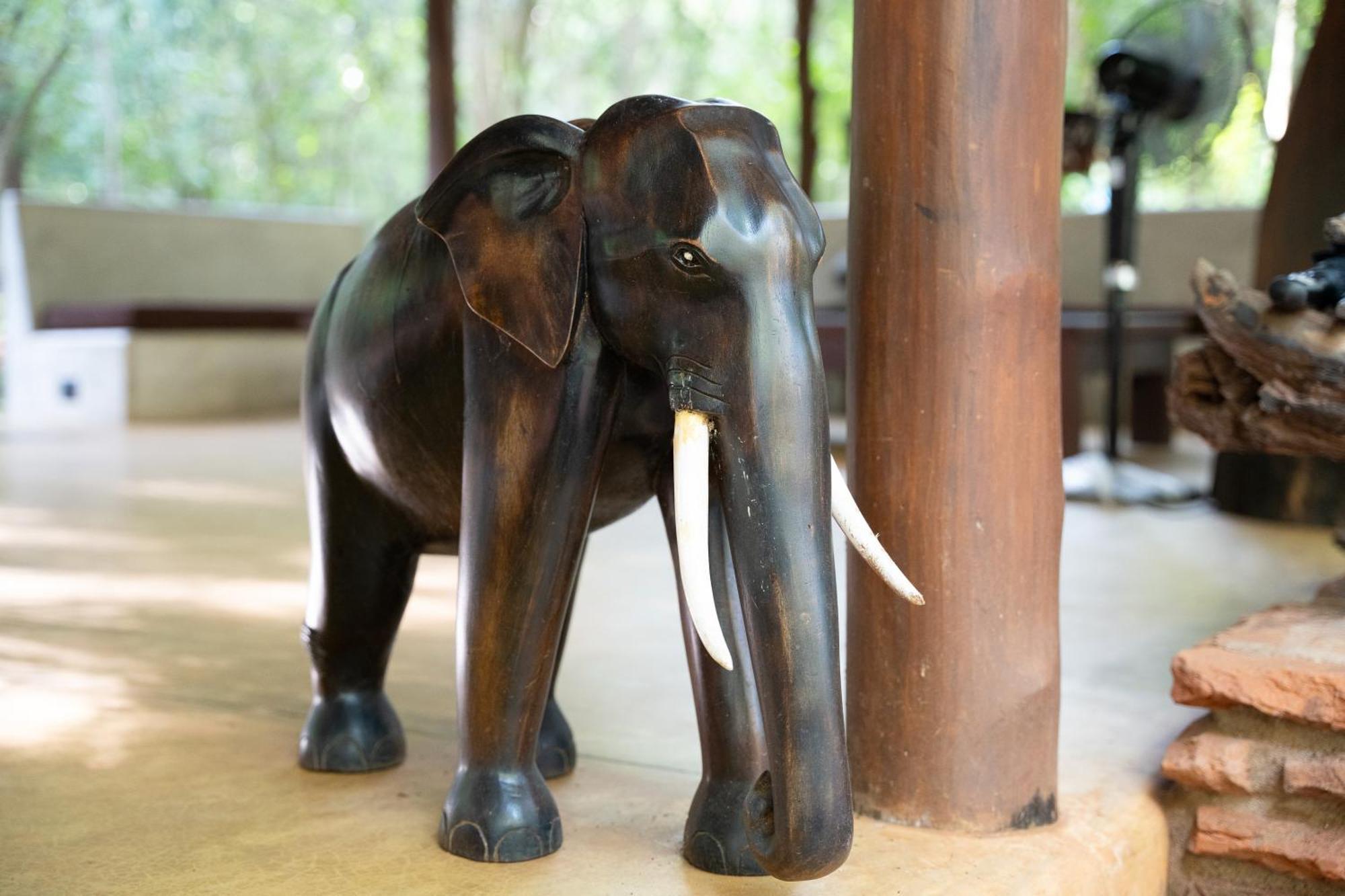 Kaala Kalaththewa Luxury Eco Resort Anuradhapura Eksteriør billede
